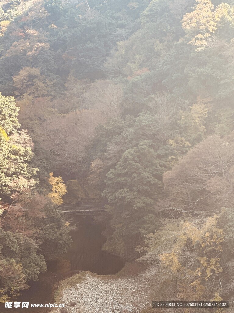 俯瞰秋日山林景色