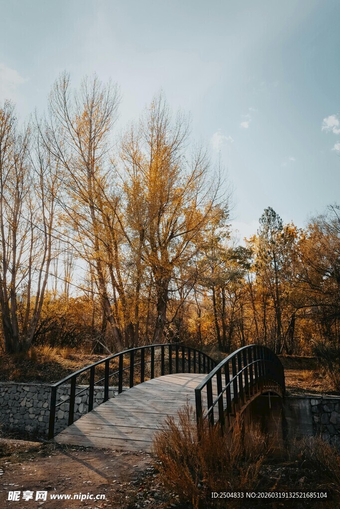 秋日林间木桥风景