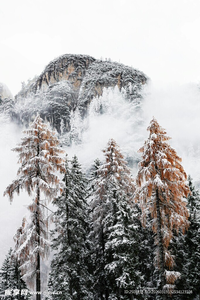 雪覆山林间的冬日美景