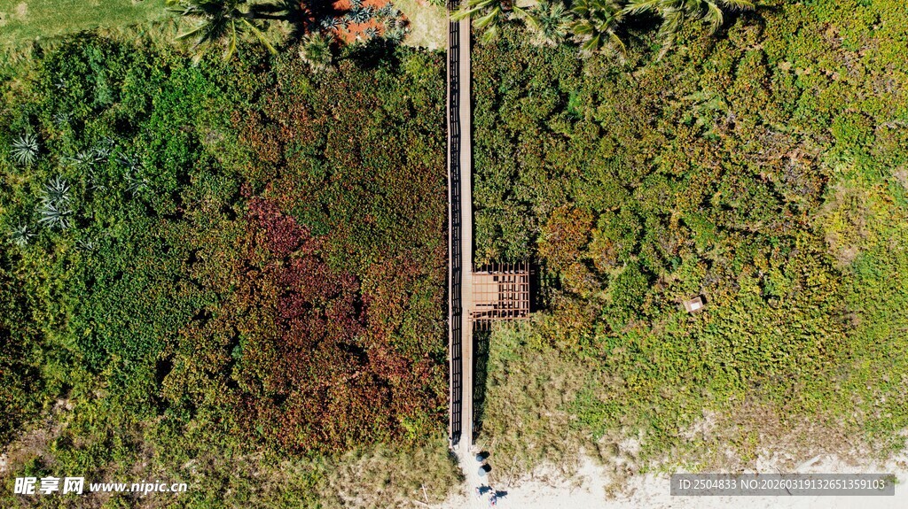 高空俯瞰农田灌溉场景