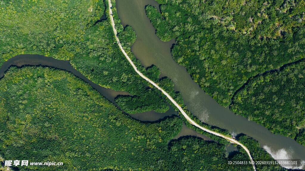 蜿蜒河流穿绿色大地