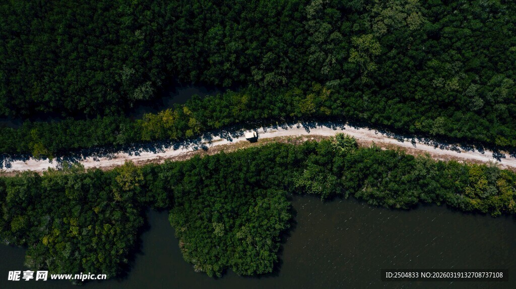 空中俯瞰林间蜿蜒公路