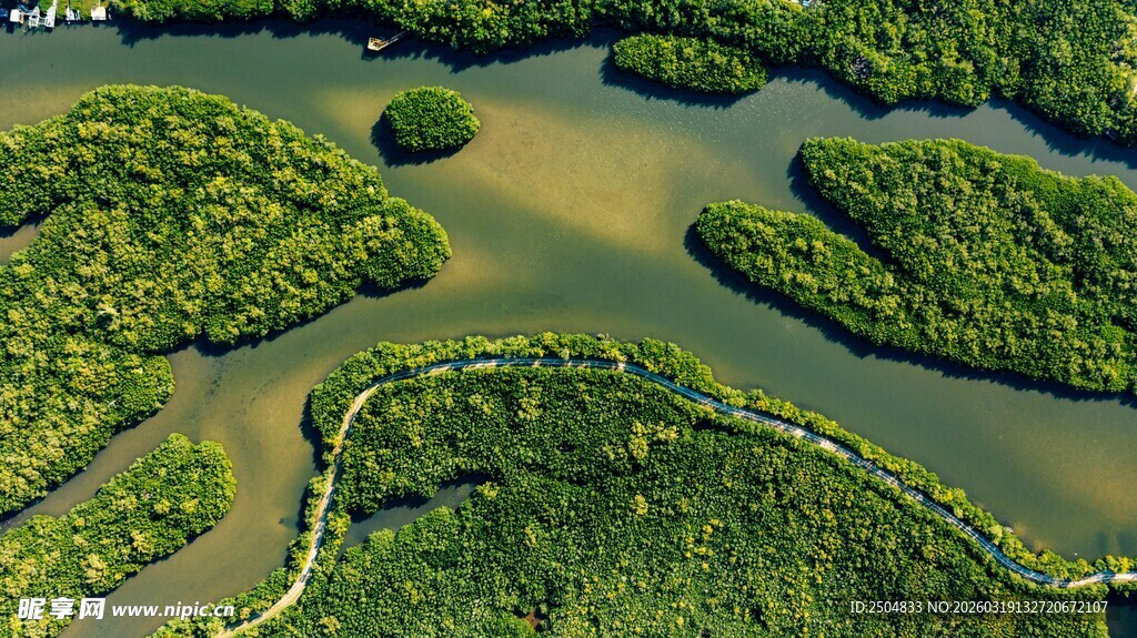 俯瞰翠绿交错的湿地景观