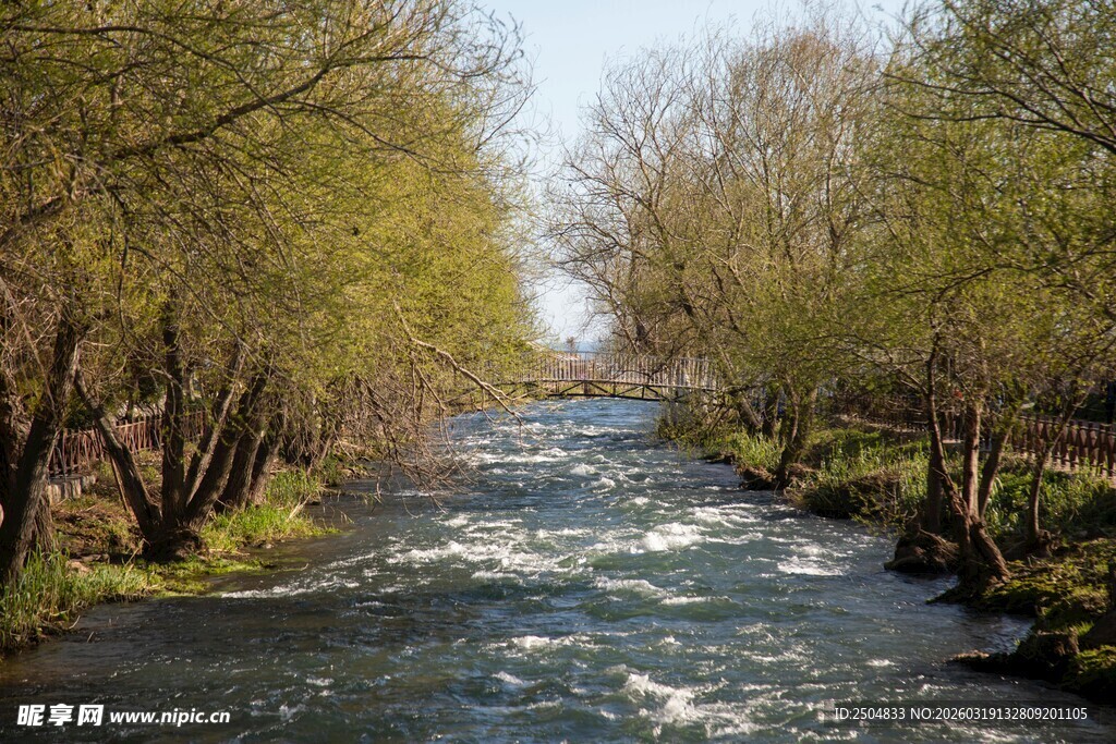 春日流淌的林间小河