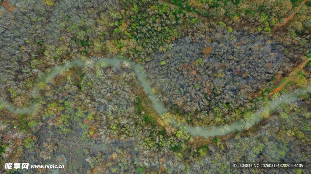 蜿蜒田间小路俯瞰景象