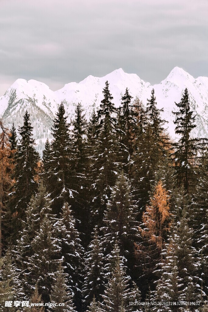 雪覆山林的壮丽自然景观