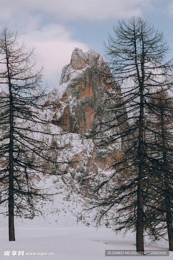 雪中山景与挺拔树木