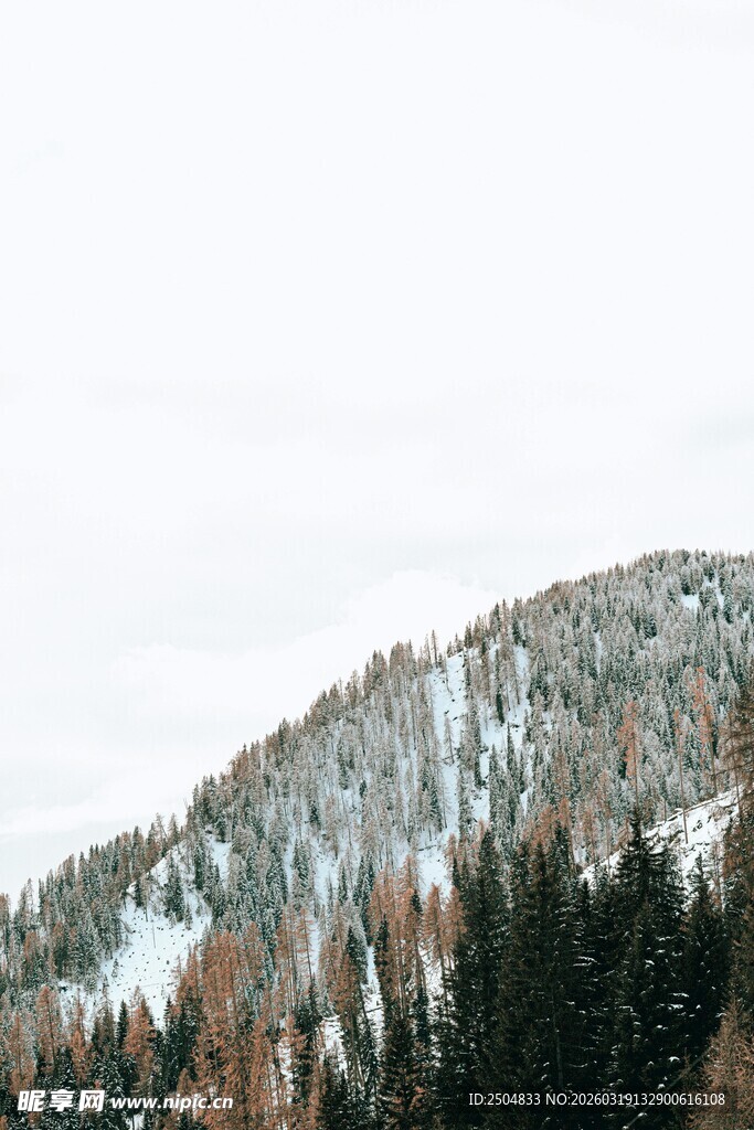 雪覆山林的冬日美景