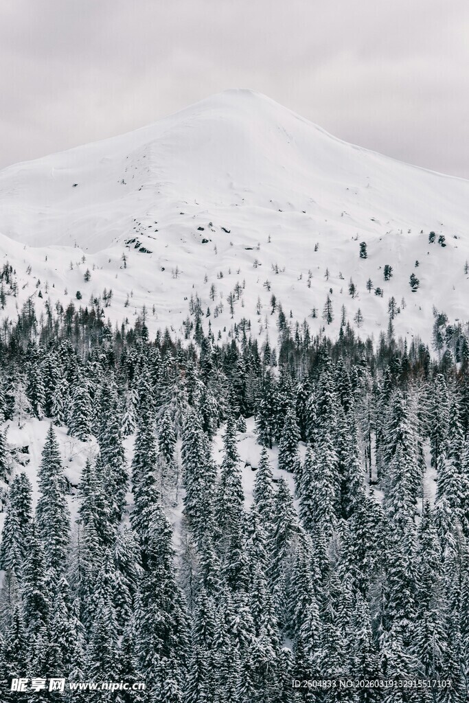 雪覆山林 远山朦胧之景