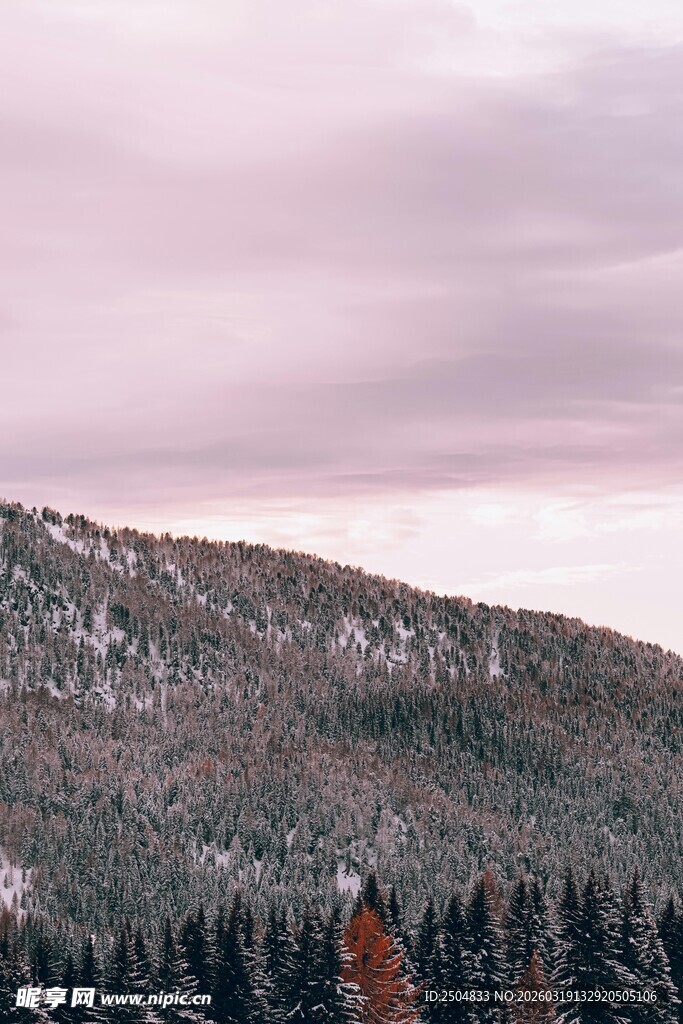 黄昏下的山林景色
