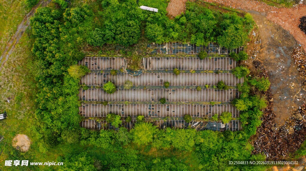 空中俯瞰规整的绿色农田