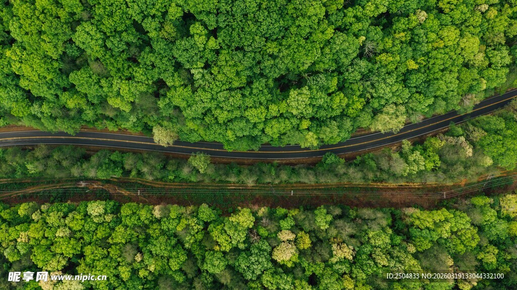 绿野中的蜿蜒铁轨