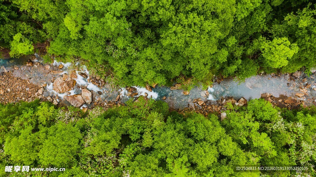 俯瞰林间蜿蜒溪流