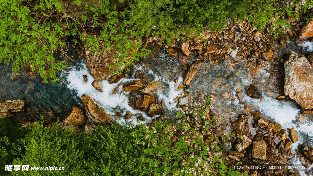 山间溪流潺潺 绿意盎然