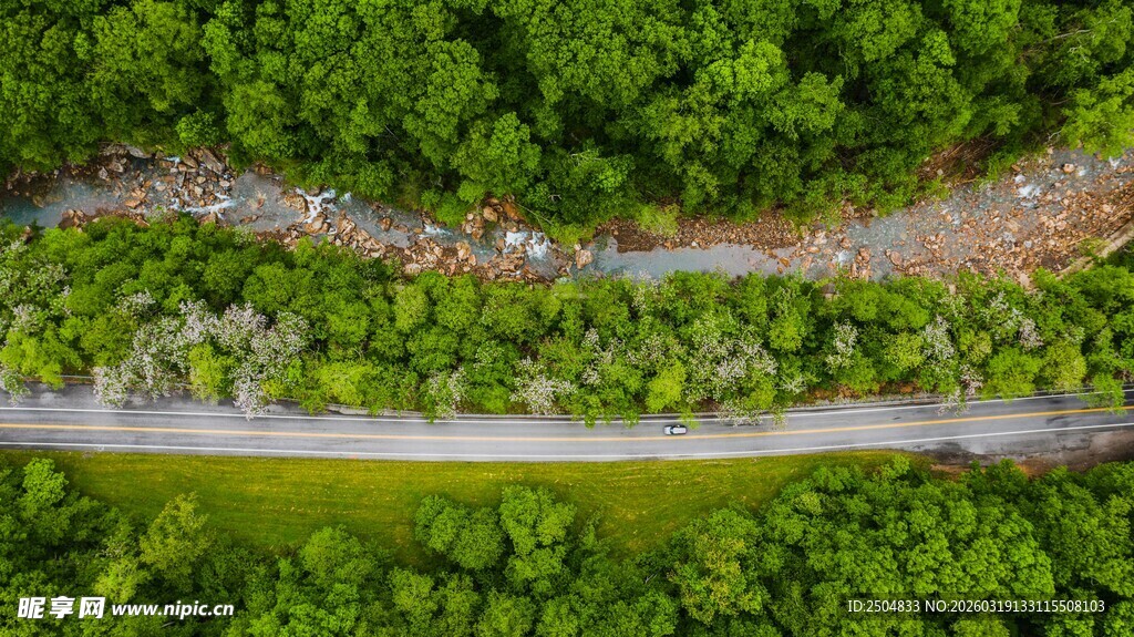 俯瞰葱郁山林间的道路