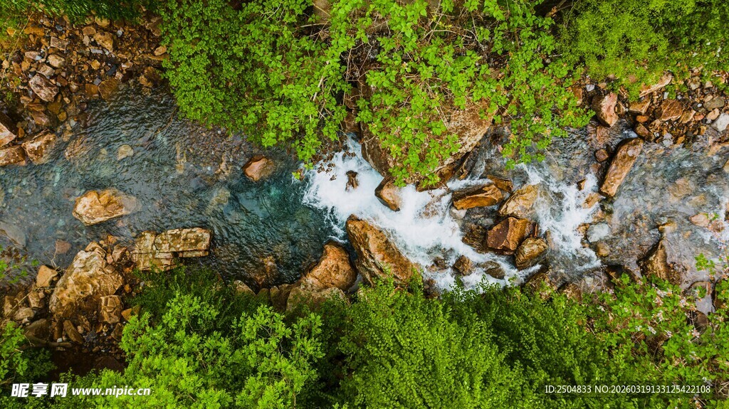 山间溪流潺潺 绿意盎然