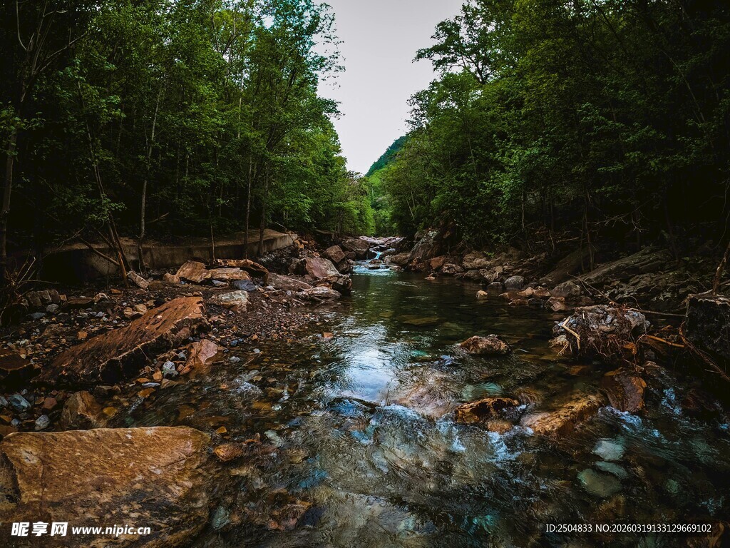 林间溪流潺潺的自然美景