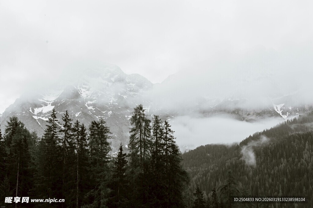 云雾缭绕的山林景观