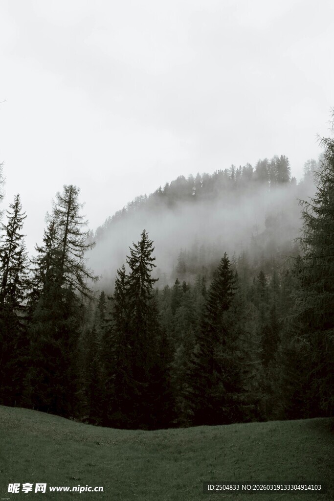 山林间云雾缭绕的静谧景致