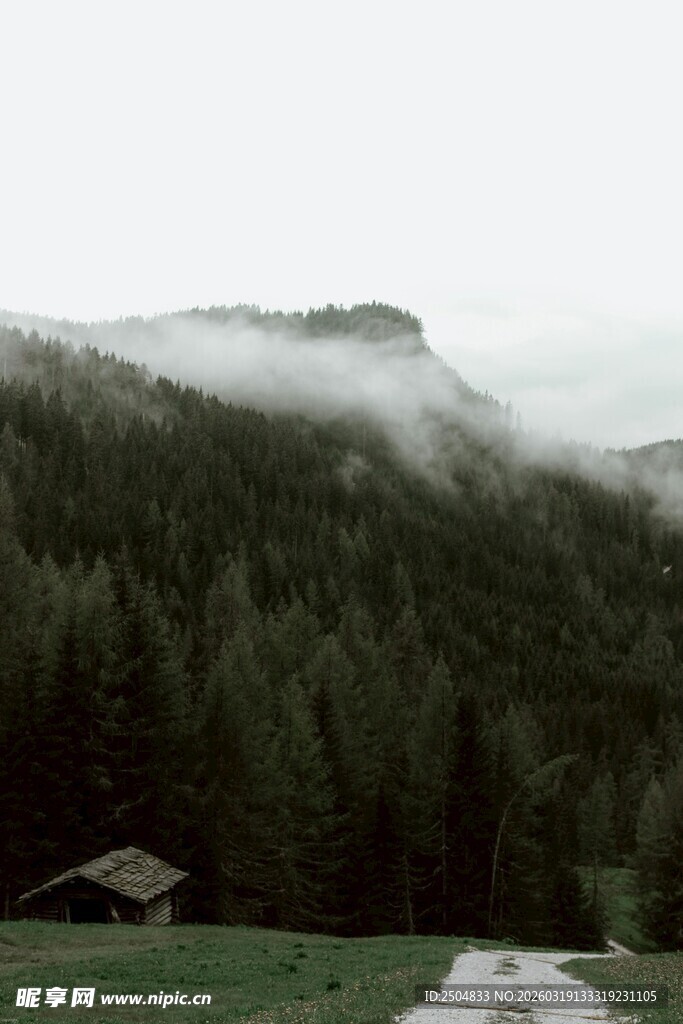 山间云雾缭绕的静谧景象