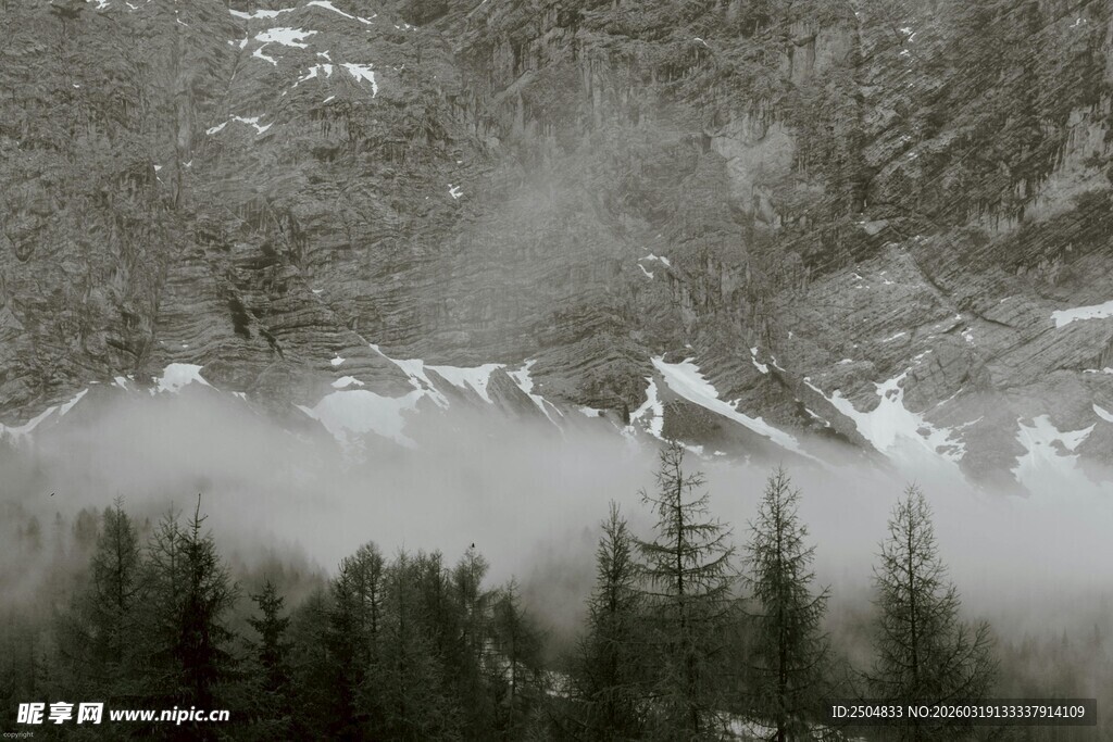 雪山森林间的朦胧美景