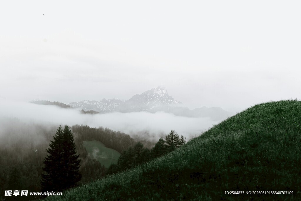 山间云雾缭绕的翠绿景致