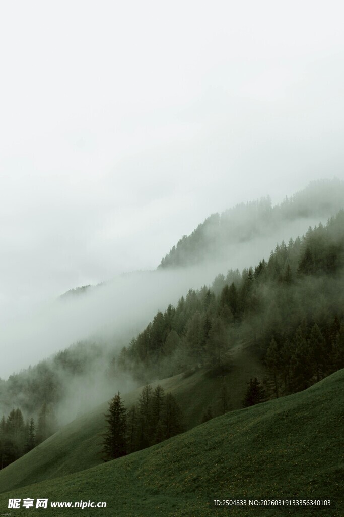 山间云雾缭绕的翠绿景致