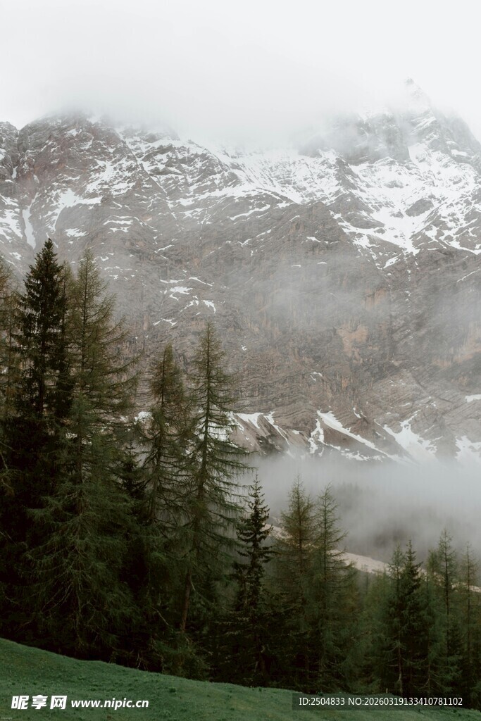 山间雾霭中的松林与雪山