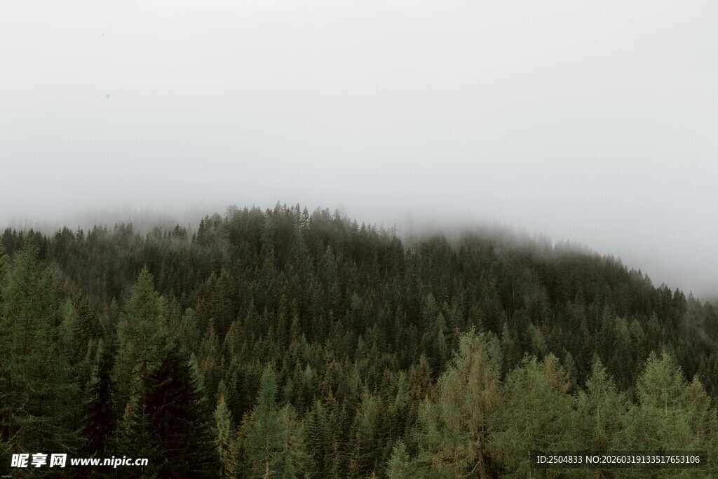 云雾缭绕的山林美景