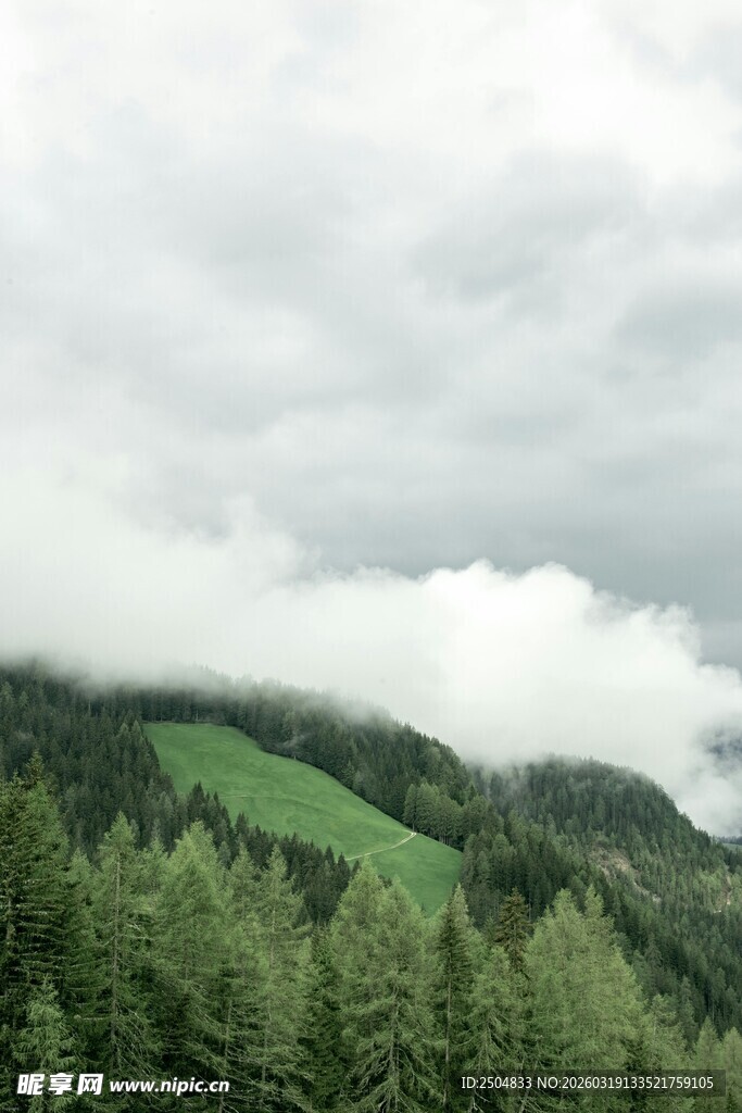 云雾缭绕的山林美景