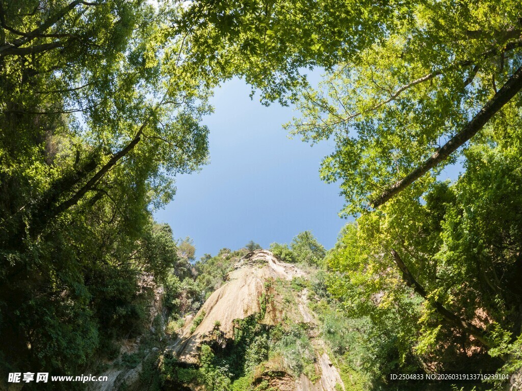 林间小径通向蓝天美景