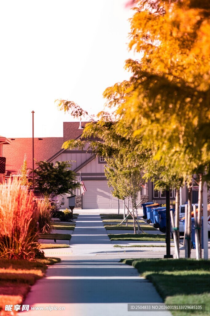 秋日校园林荫道美景