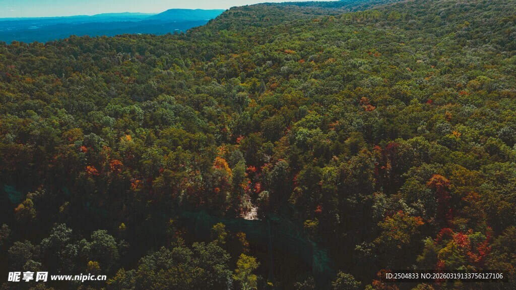 俯瞰葱郁山林与远处水域