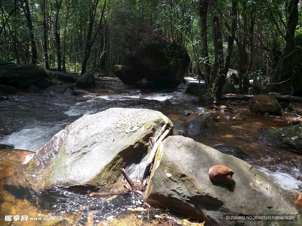 林间溪流中的巨石景观