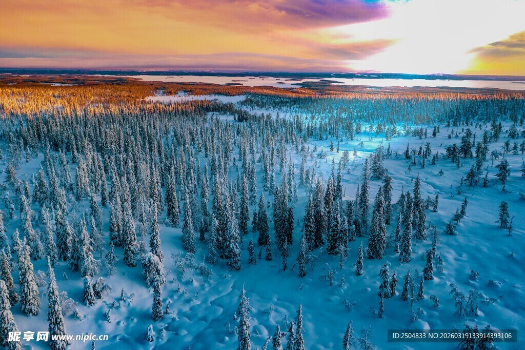 冬日雪地森林日落美景