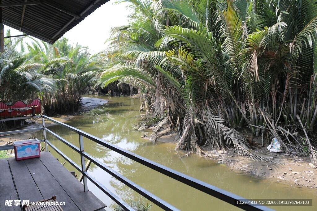 河畔木质平台与葱郁植被