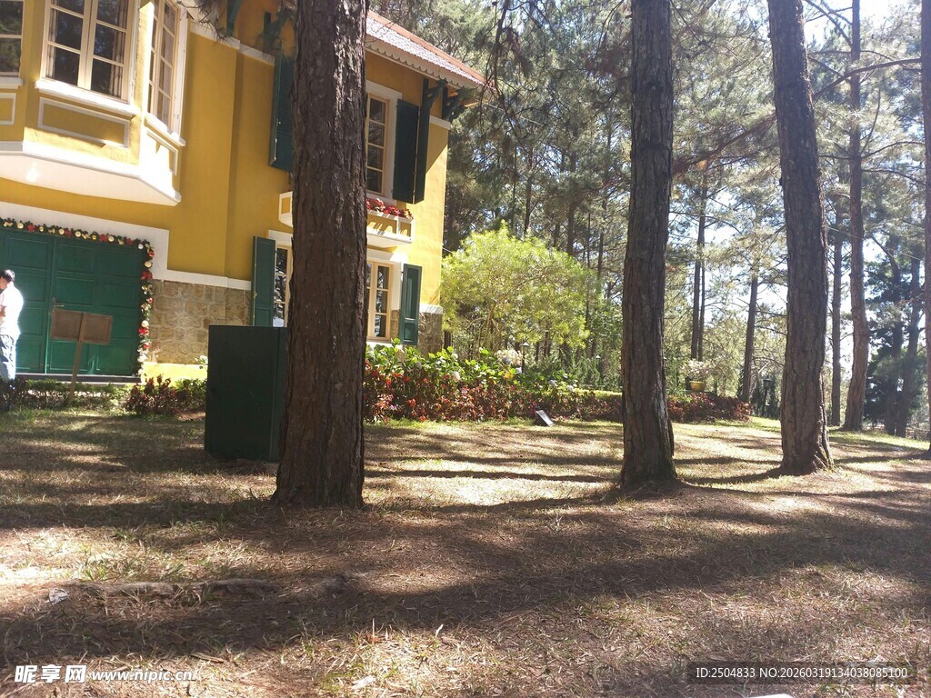 林间黄屋 静谧自然景致