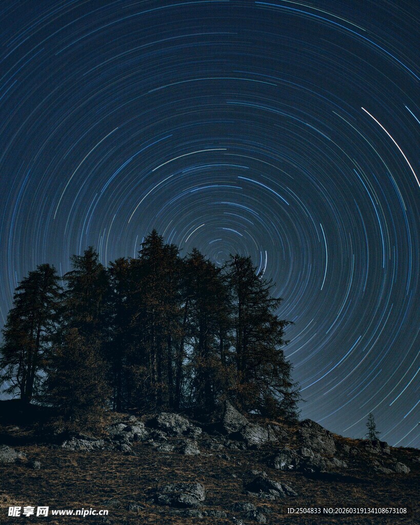 夜空下的树木与星轨奇观