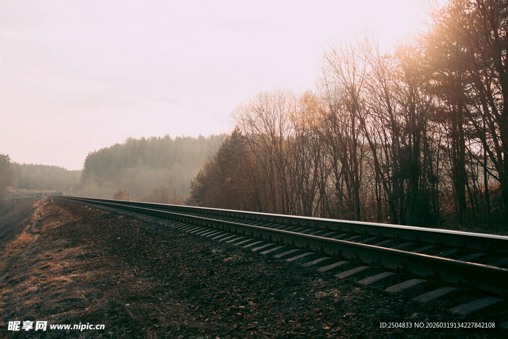 夕阳下的铁轨与萧瑟树林