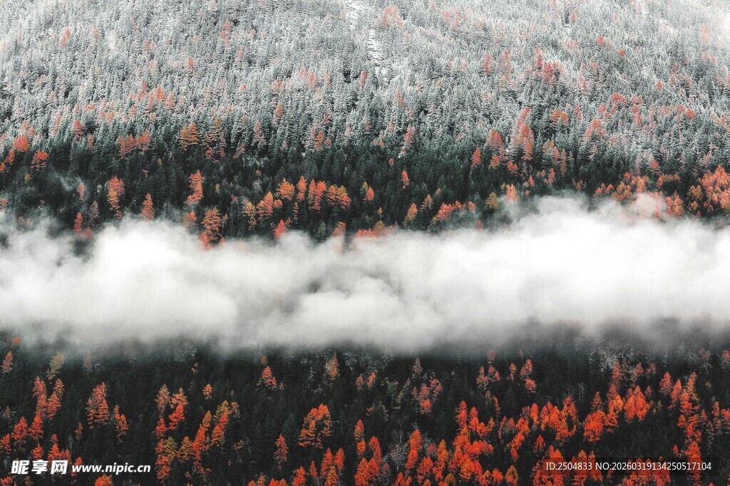 雪覆山林间的云雾奇观