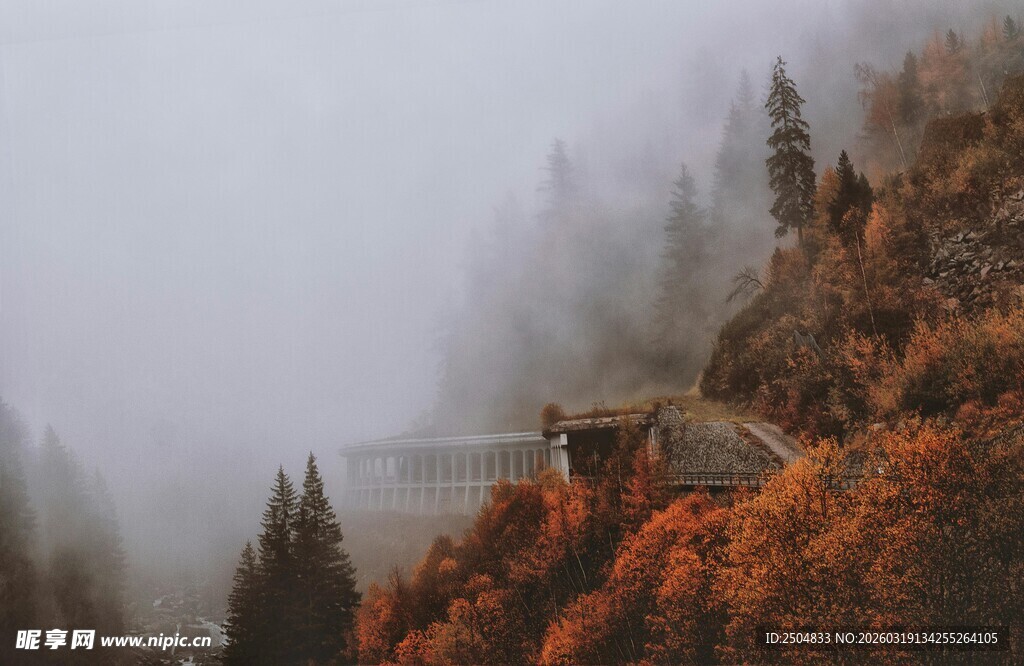 雾中秋色山林景观