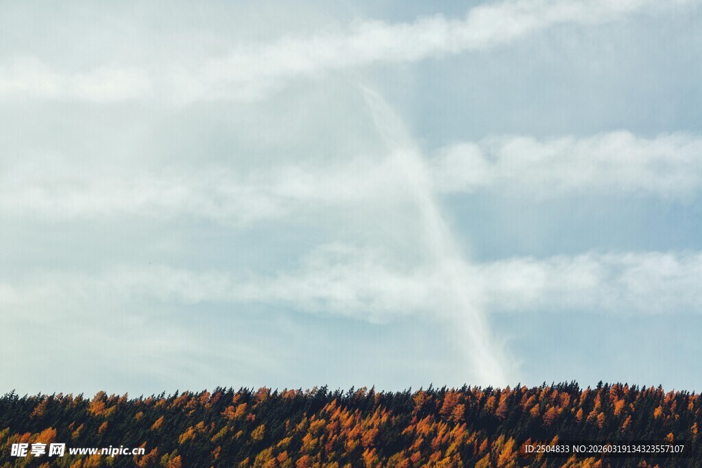 秋日林间的天空光影