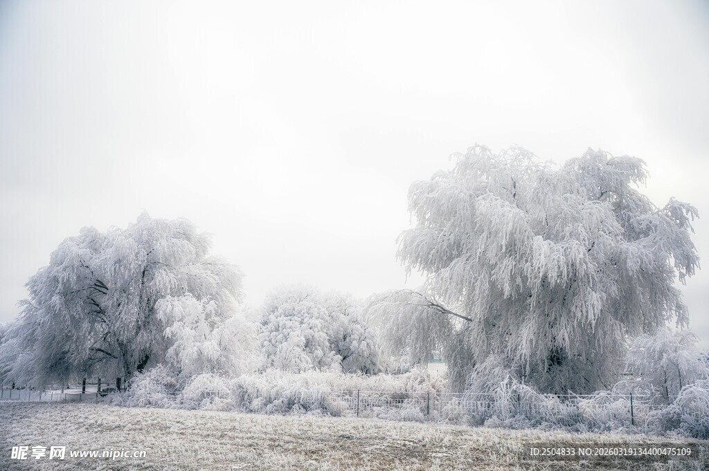 冬日雾凇景观