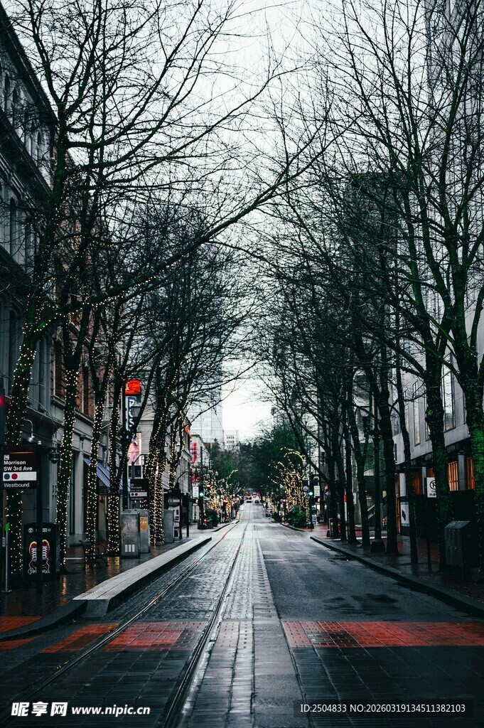 雨中静谧街道景象