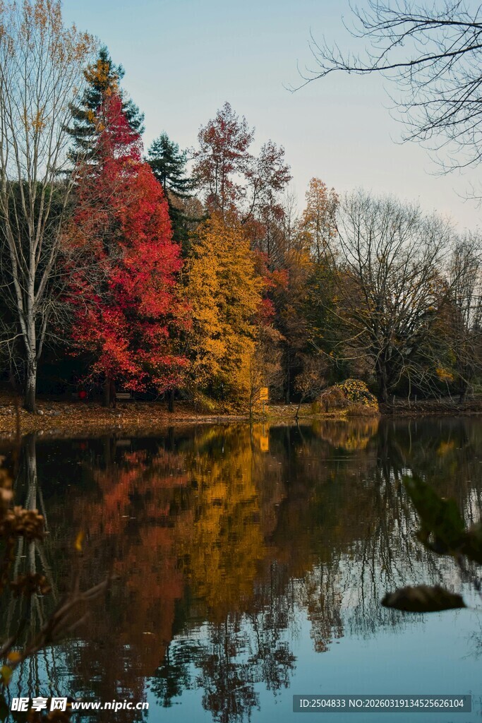 秋日湖畔绚丽多彩的景致