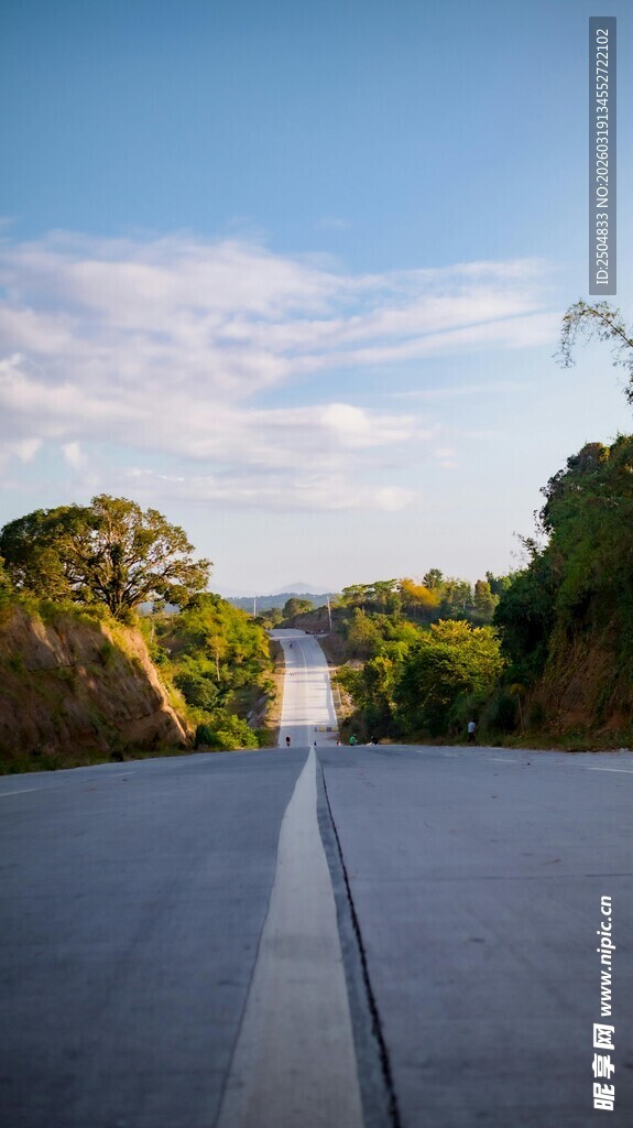 宽阔道路延伸向葱郁树林