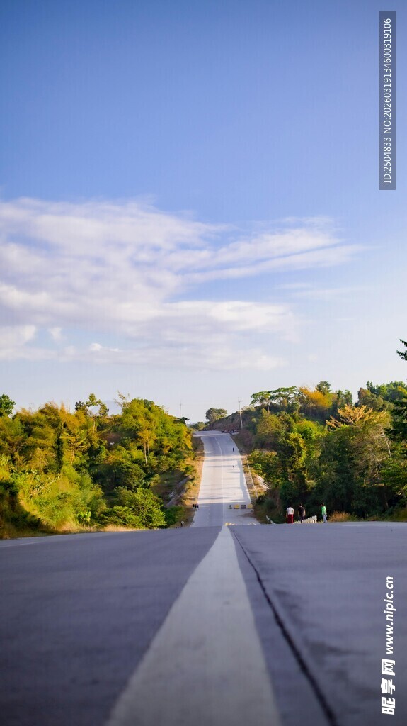 宽阔道路延伸向葱郁树林