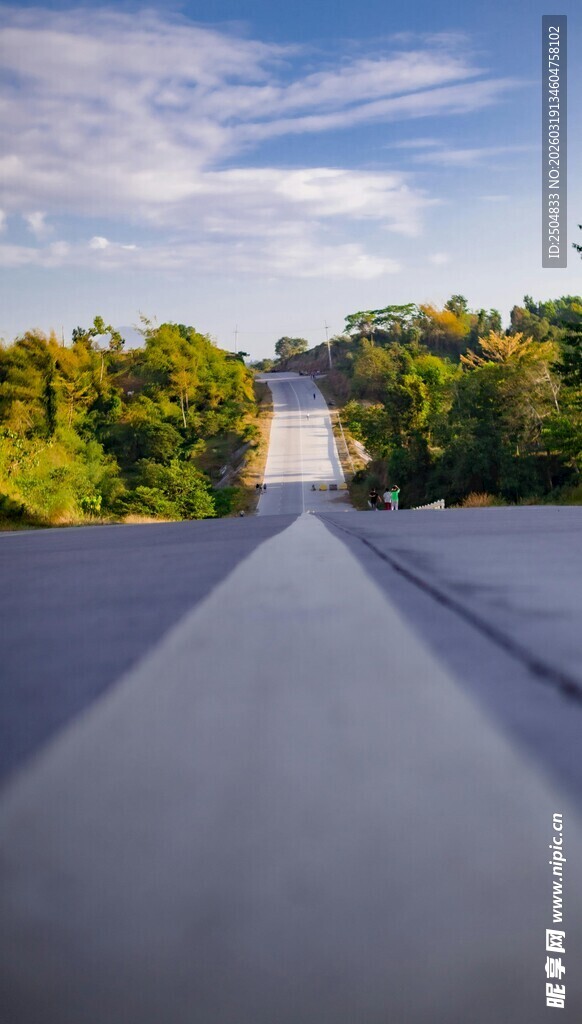 屋顶视角下的绿树蓝天