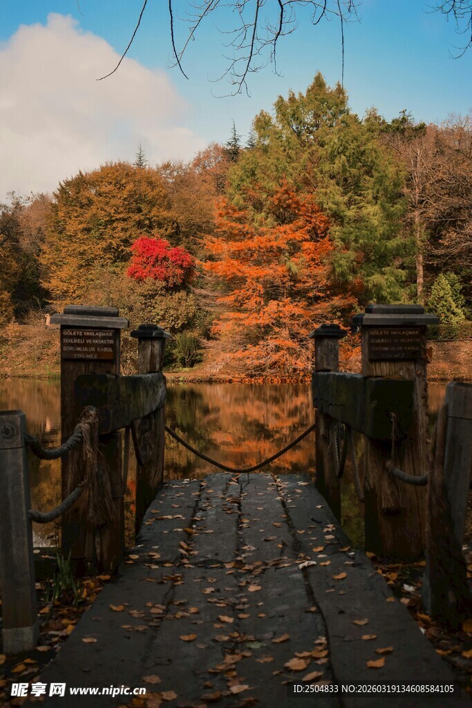 秋日木桥落叶美景