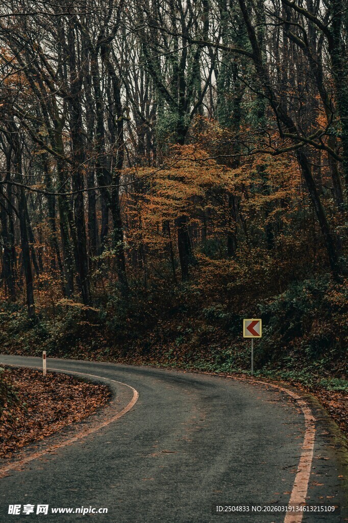 秋日蜿蜒林间公路